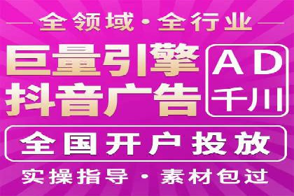 百度竞价广告投放策略：案例分析及效果评估